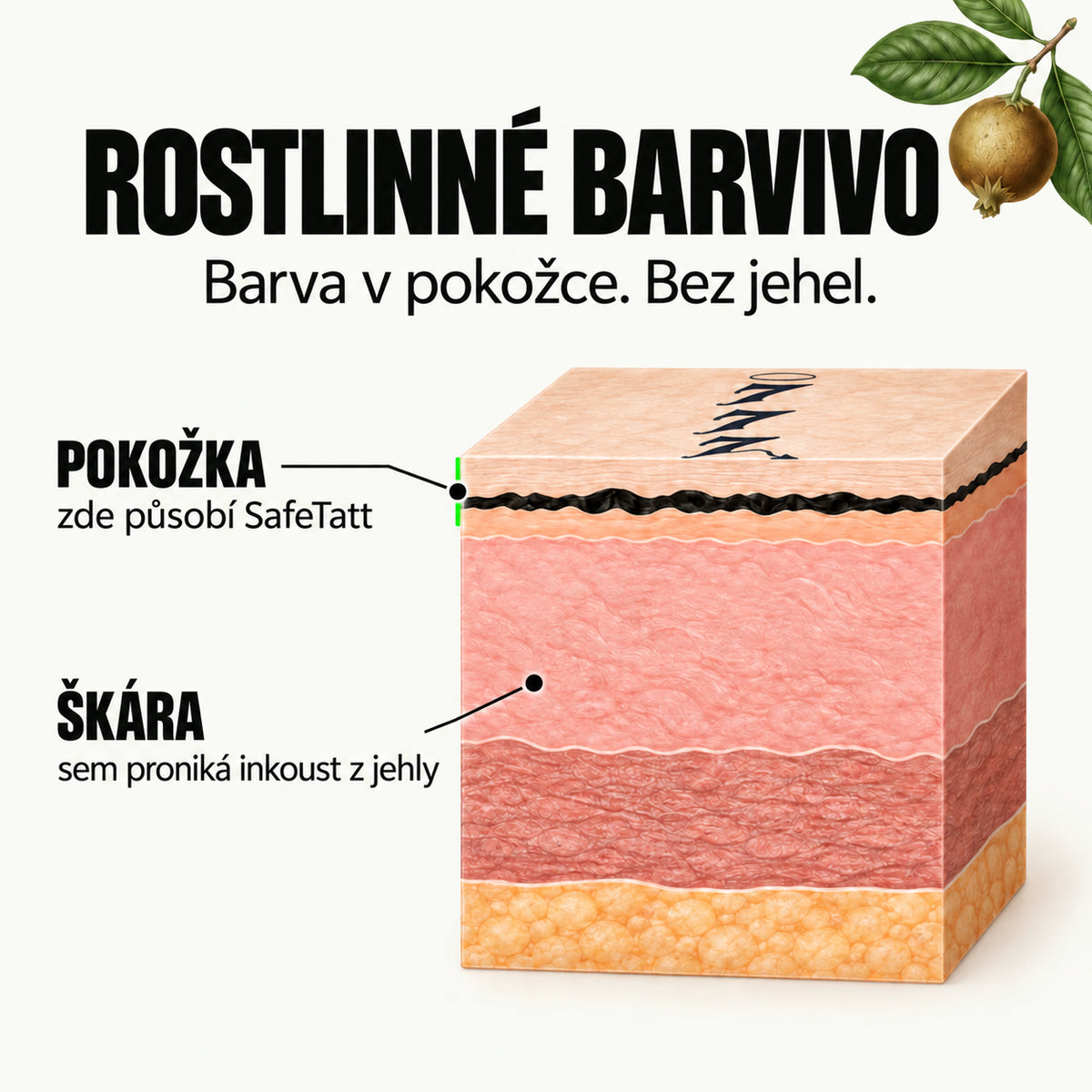 Rostlinné barvivo SafeTatt působí ve svrchní vrstvě pokožky